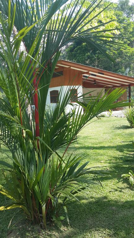 Los Delfines Lodge Puerto Viejo de Talamanca Oda fotoğraf