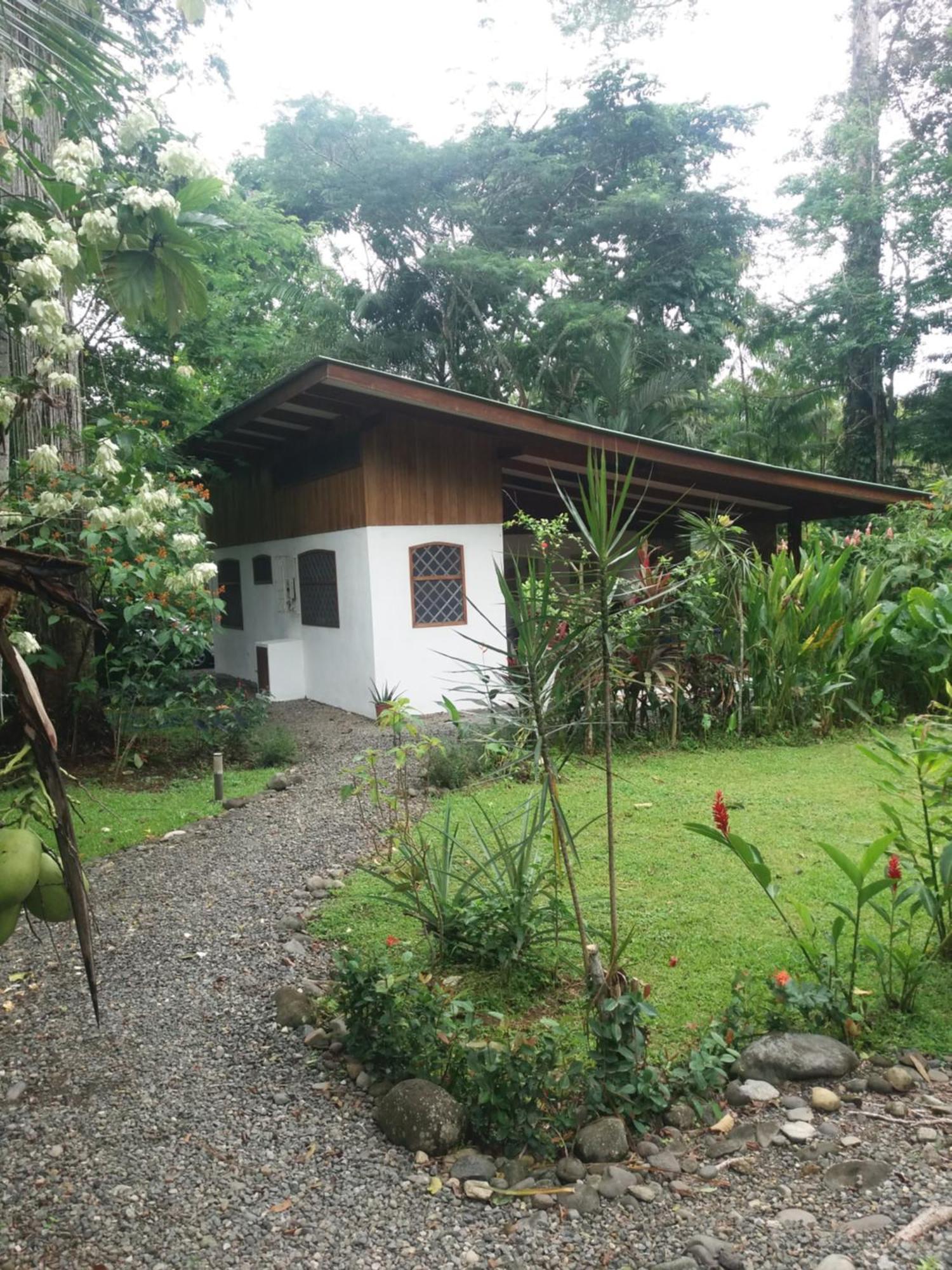 Los Delfines Lodge Puerto Viejo de Talamanca Dış mekan fotoğraf